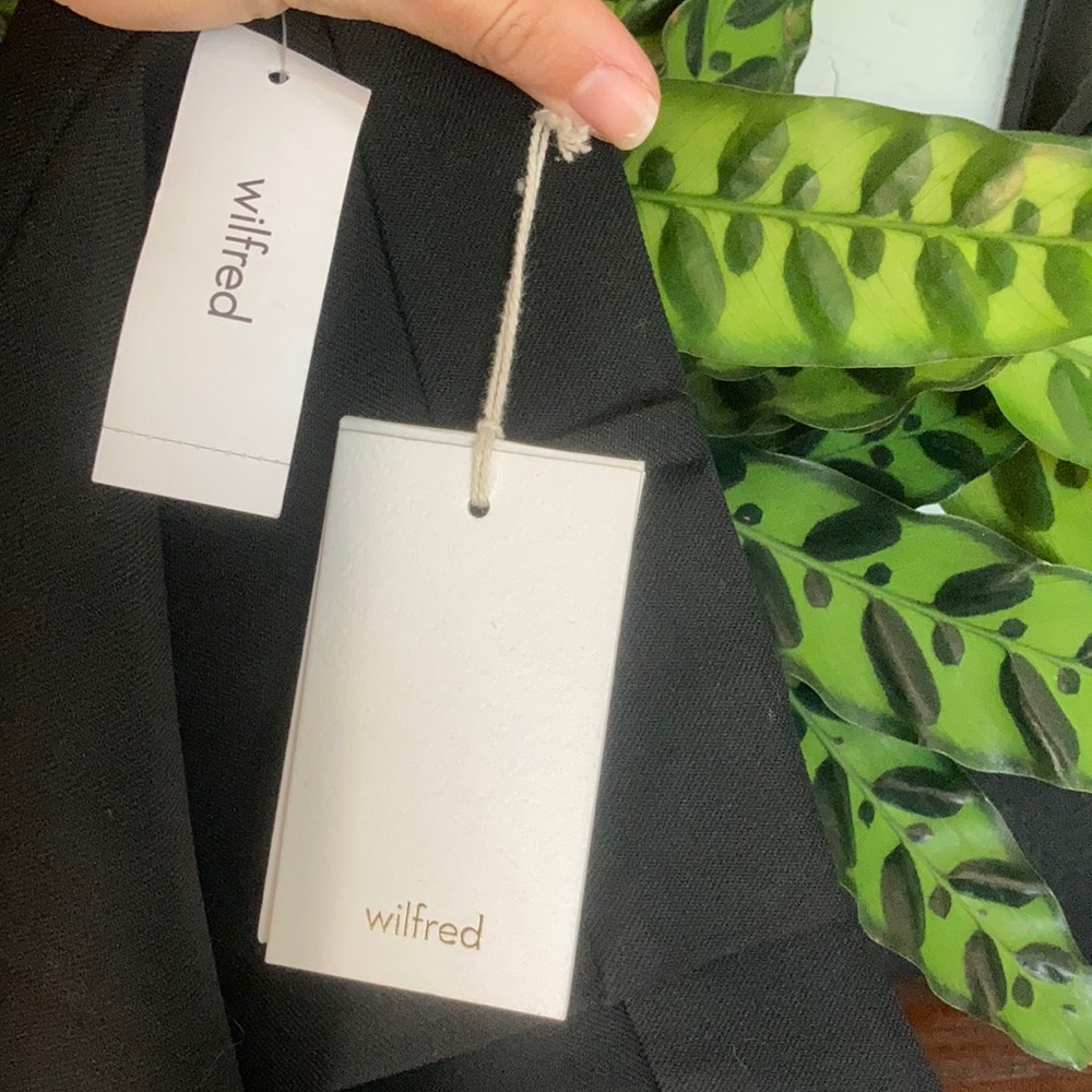 Wilfred Prosecco pant